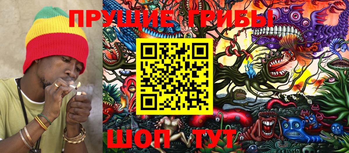 Галлюциногенные грибы Cubensis  Вход с VPN  Сегежа 